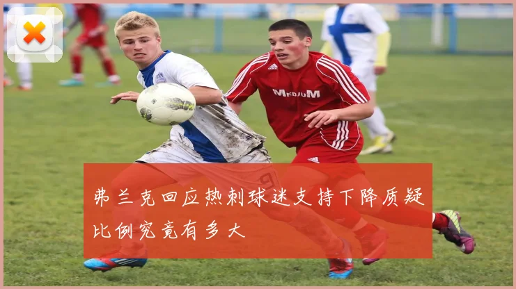 弗兰克回应热刺球迷支持下降质疑比例究竟有多大