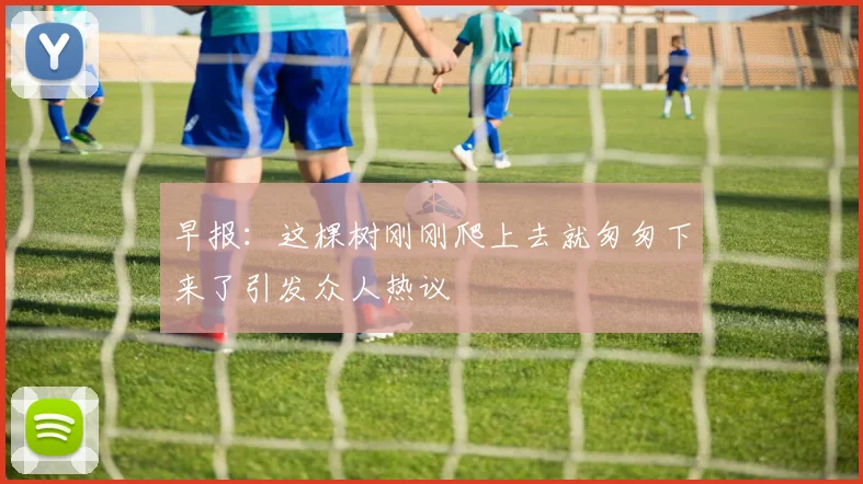 早报：这棵树刚刚爬上去就匆匆下来了引发众人热议