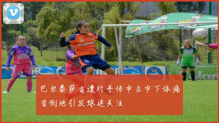 巴尔泰萨吉遭对手传中击中下体痛苦倒地引发球迷关注